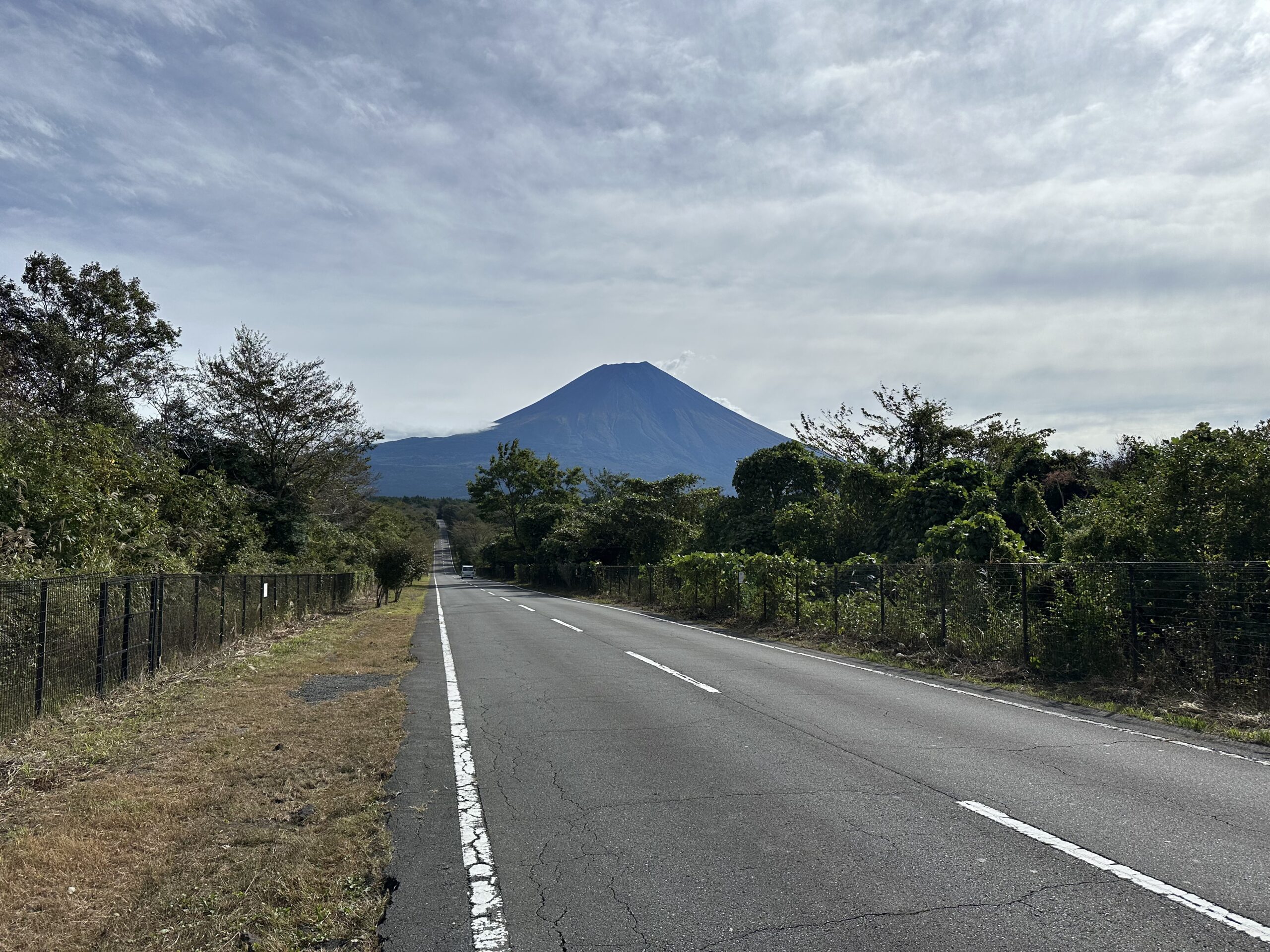 場内工事について
